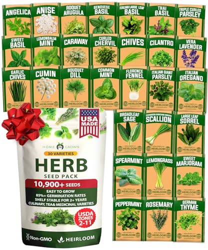 Image of HOME GROWN 30 Herb Seeds for Planting 10,900+ Non-GMO Heirloom Seeds | Extra Large Variety Pack Herb Kit - Indoor Outdoor & Hydroponic | Culinary Seed Set | Grow Your Own Herbs | Gardening Gift