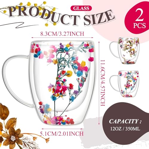 Image of Double Wall Glass Coffee Mugs - Glass Double Layer Tea & Coffee Cup Double Walled Glass Mugs for hot & Cold Drinks Coffee Tea Milk cappuchino Juice (350ML Mug, 2 Pieces) (MCV-3)