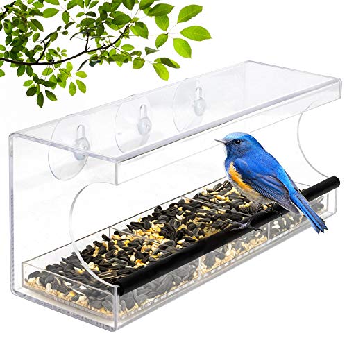 Window Bird Feeder - Transparent Acrylic Design - Wild Bird Feeder - Strong Suction Cups for Easy Outside Installation - Squirrel proof Bird Feeder for Kitchen or Living room Window