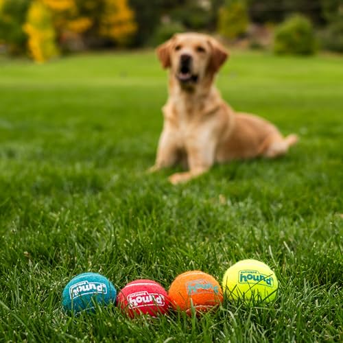 Outward Hound Squeaker Ballz 4-Pack Tennis Ball Dog Toys with Squeaker, Interactive Fetch Play for Pets Under 50 lbs, Training Balls for Indoor & Outdoor Exercise, Medium, 2.5-inch