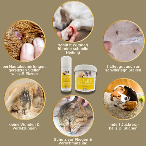 Erste Hilfe Set Katze Wundspray Hund & Lebertran Zinksalbe - Silberspray Hund I Wundspray Katze - Lebertran-Zinksalbe bei Wunder Haut mit Zink für Tiere I Zinksalbe Wundsalbe Gegen Juckreiz 0,1 0,25L