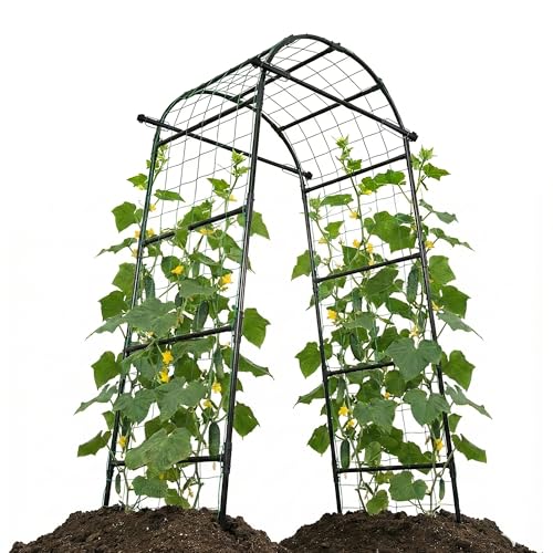 popsea Garden Arch Trellis, 80'' Tall Walk-Through Plant Support for Climbing Vines Flowers Vegetables Grapes and Tomatoes Sturdy Outdoor Metal Arbor for Raised Beds