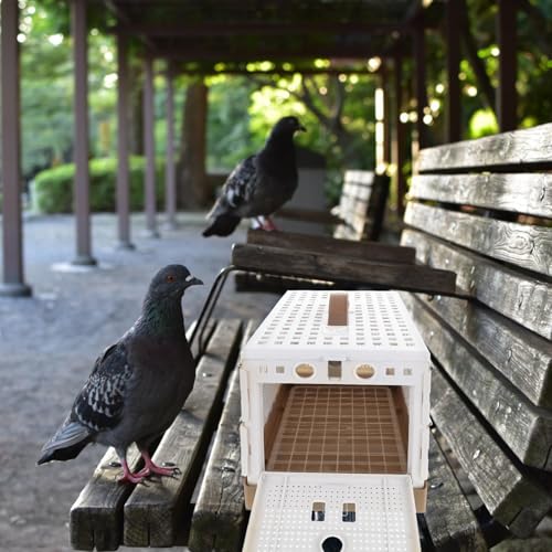 Cage d'oiseaux - Cage Pliable, Double Verrouillage, Transport de Transport d'oiseaux Portable | Lightweight Bird Carrier for Intérieur Travel Transporrt Yard Training Domestication Competition – Image 6