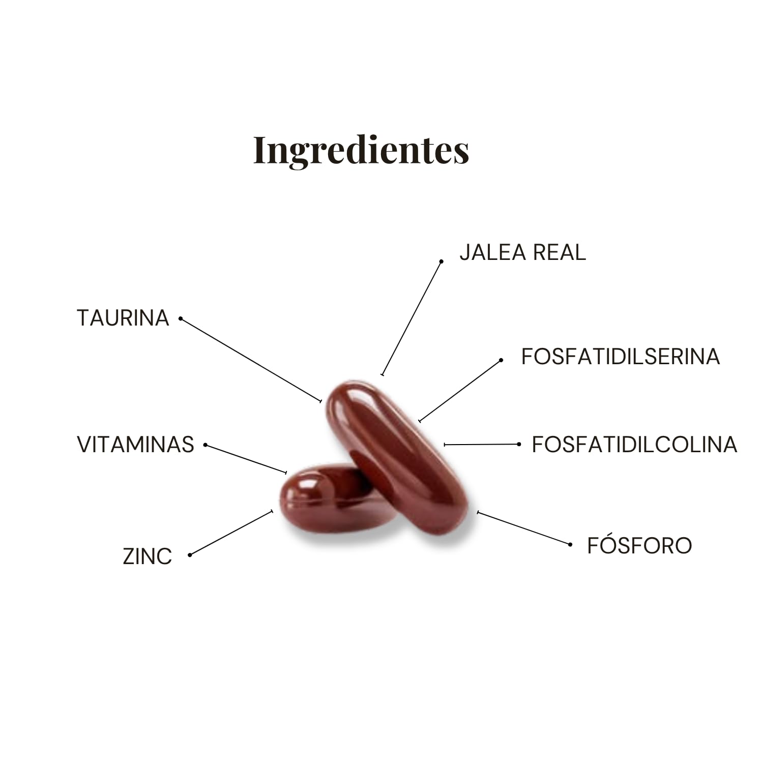 DeMemory Studio 30 Cápsulas - Pack 3 Unidades - Ayuda a la Concentración, Aprendizaje y Razonamiento - con Fosfatidilcolina, Fosfatidilserina, Taurina, Jalea Real, Vitaminas y Minerales