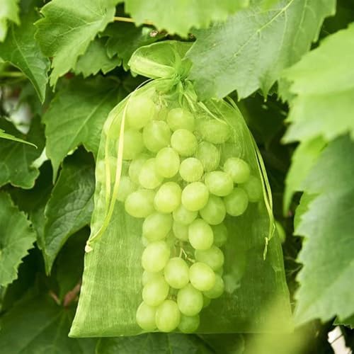 Sacs de protection pour fruits | 200 pochettes en maille avec cordon de serrage – Récolte en plein air pour légumes et fruits, idéal pour les tomates, les fraises, les raisins, la croissance et la