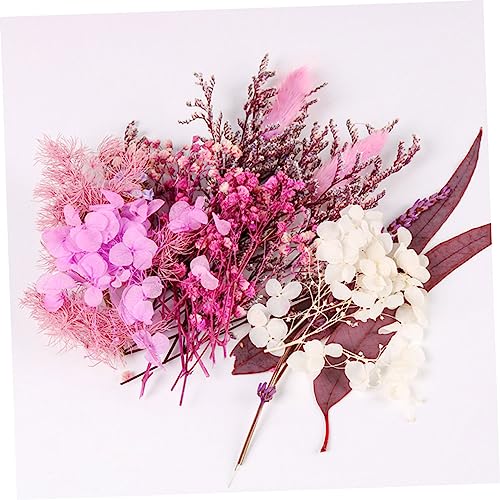 Flores secas prensadas para manualidades 1 bolsa miniatura 3