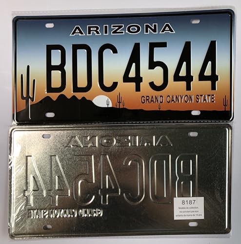 - Satz mit 10 amerikanischen Autokennzeichen aus Metall - Repliken echter US-Kennzeichen - V1C