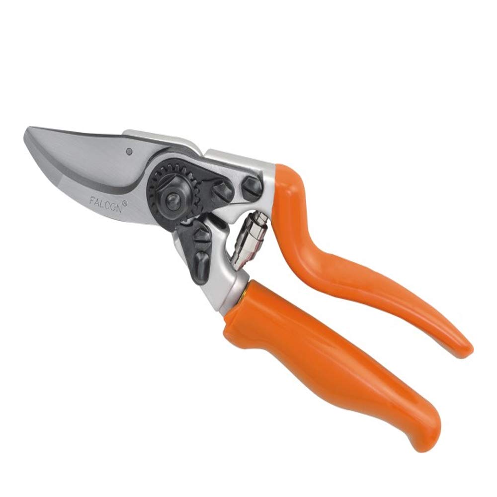 FALCON Pruning Secateur (Total Length - 215 mm) (B00LA47NE6) Amazon Price History, Amazon Price Tracker