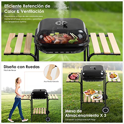 Asadores, Kitchen asadores a carbon Marca NOVANGUA (2)