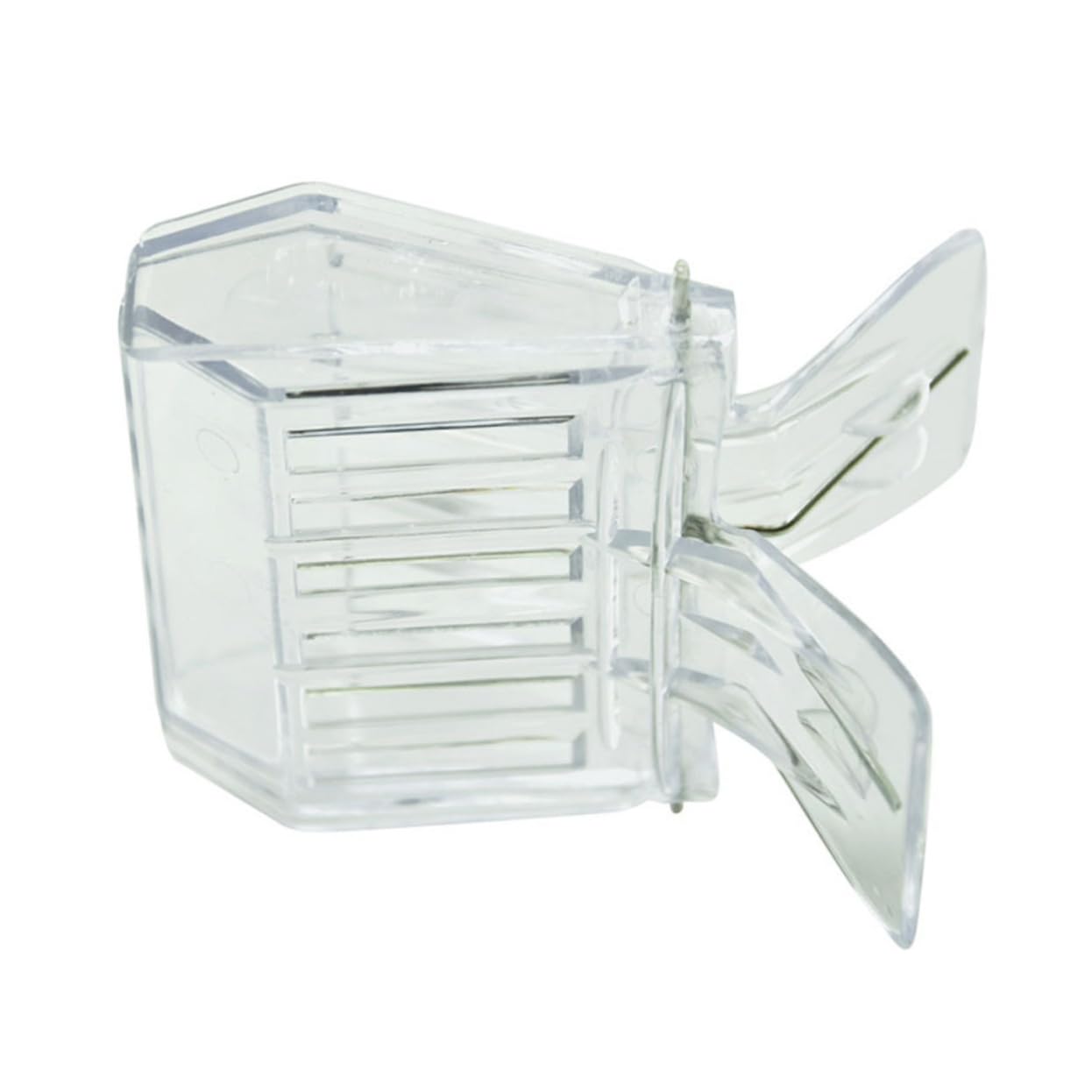 Happyyami 7 Pz Accessori Per L'apicoltura Attrezzi Per Il Dell'apicoltura Attrezzi Per L'apicoltura Strumenti Per L'apicoltura Attrezzo Di Legno Ape Regina