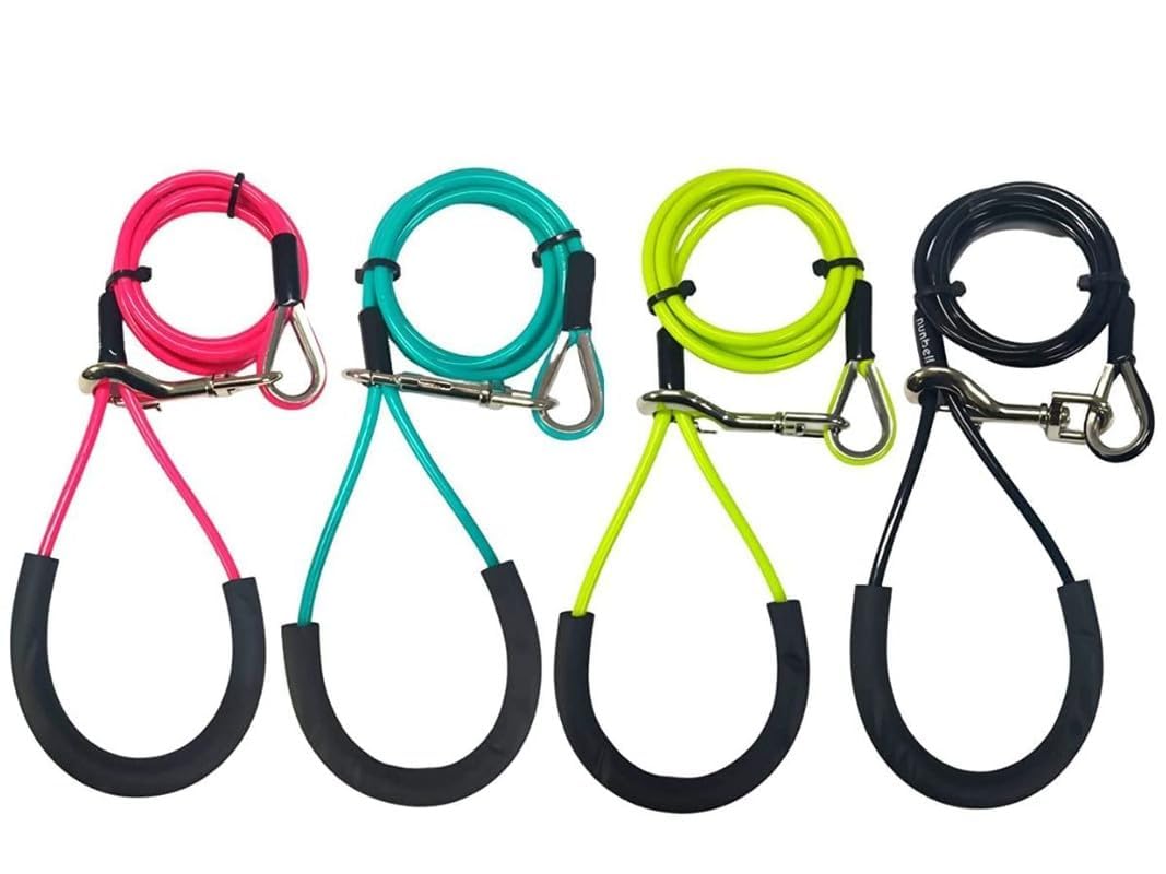 PSK PET MART Durable Pet Dog Accessories Nylon Strong Rope Leash Dog Leash Harness with Comfortable Padded Handle (RED) (B09RWZQ6JH) Amazon Price History, Amazon Price Tracker