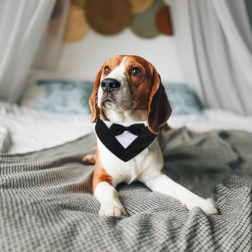 SHENGYIG Hunde Halstuch, M Größe Schwarz Kostüm für Hunde, Fliege-Stil, Verstellbar Hund Kleidung, Selbstklebend, 42 cm Schal, für Verkleiden von Haustieren