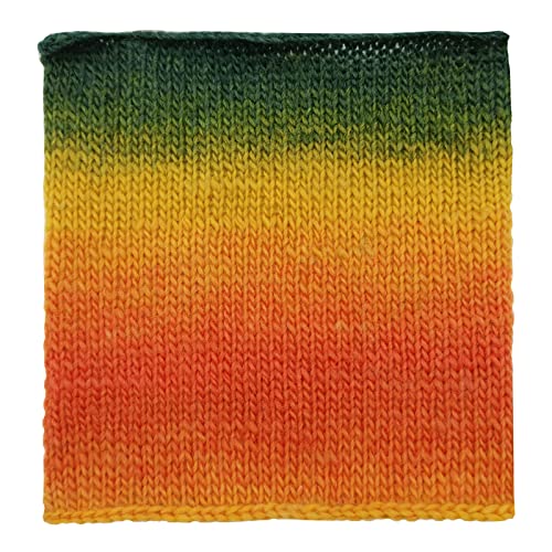 Image of 2 Skeins Rainbow Soft Yarn 100% Wool Gradient Multi Color Yarn for Crocheting Knit Total Length 180mx2(196ydsx2,50gx2)-4