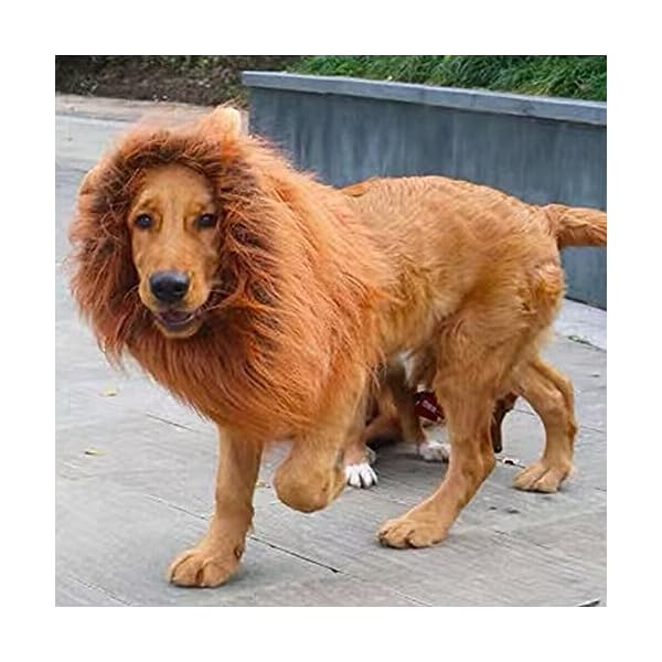 Dog lion mane - halloween realistic & funny lion mane for dogs - complementary lion mane for dog costumes - lion wig for medium to large sized dogs lion mane wig for dogs - image 4