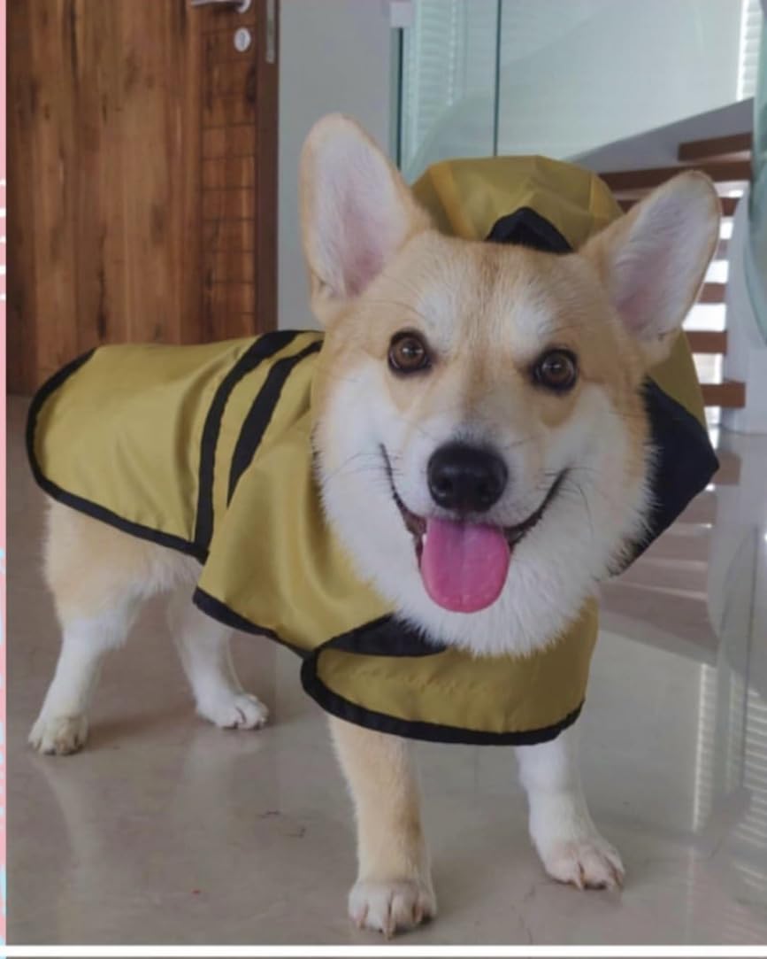 That Dog In Tuxedo Pawddington Dog Raincoat with Hoodie - Ochre Yellow (Size - 26) 4