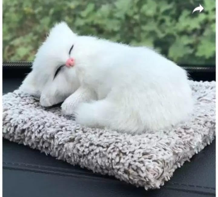 KACHKIT Sleeping Cat Plush Toy with Press Simulation Sound, Sleeping Cat Stuffed Animal Fur Soft Toys with Sound for Kids Car Dashboard Cat & Office Desk, (PCS-1). 3