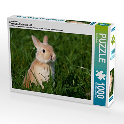 CALVENDO Berit Seiboth - Puzzle (1000 Piezas, 64 x 48 cm), diseño de Animales