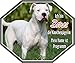 Produktbild Petsigns Aufkleber - Dogo Argentino - Ich Bin Bones die Knochenjägerin, 15 x 12,5