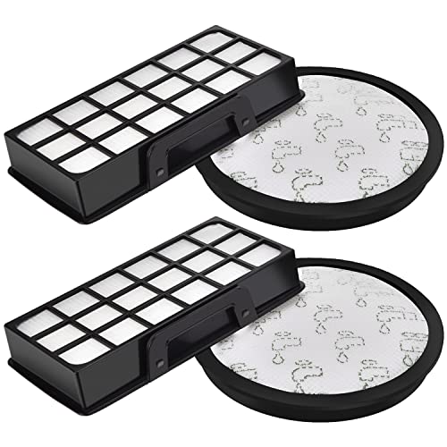 Lot de 2 Filtres HEPA pour Rowenta Silence Force Cyclonic 4AAAA (Modèle RO76xx) RO7681EA RO7691EA RO7690EA RO7649EA RO7647EA RO7663EA RO7676EA Aspirateurs, Filtre de...