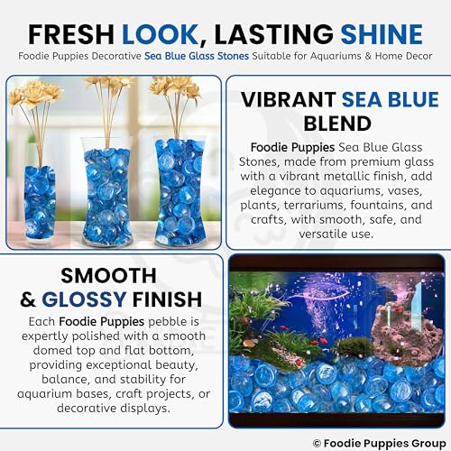 Image of Foodie Puppies Flat Glass Clear Stone (400gm, Sea Blue) (2cm - 2.5cm) for Aquariums, Fireplace, Firepit Glass for Indoor and Outdoor, Vase Filler, Hydroponics Plants, Home Decor, and DIY Craft