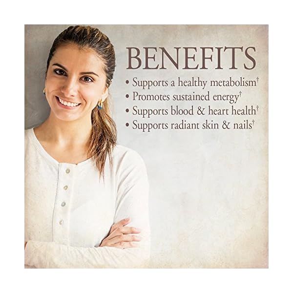 Organic-Multivitamin-for-Women-by-Garden-of-Life-mykind-Organics-Womens-Multi-with-Vitamin-C-D-Folate-B6-B12-Biotin-Iron-Vegan-Whole-Food-Vitamins-for-Women-Energy-Skin-Nails-60-Tablets Garden of Life Organics Organic Multivitamin for Women - Womens Multi with Vitamin C, D, Folate, B6, B12, Biotin, Iron, Vegan Whole Food Vitamins for Women, Energy, Skin, Nails, 60 Tablets