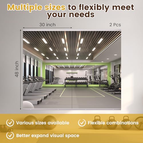 Image of LOAAO Home Gym Mirror 48 inchx30 inch, 2 PCS