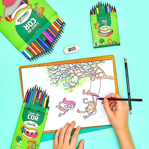 6 Caixas Lápis de Cor 12 Cores Escolar Leo&Leo