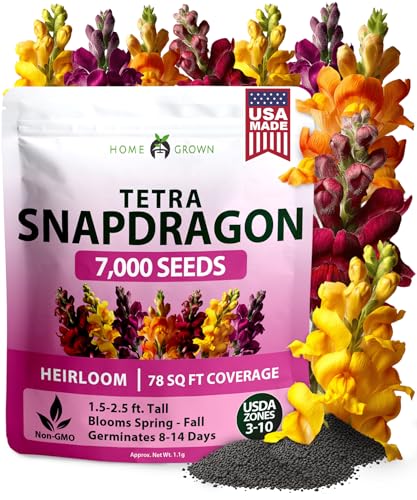 Image of HOME GROWN Snapdragon 'Tetra' 7000 Seeds 1.1g Snapdragon Seeds Perennial Tall Flower Seeds to Plant Outside - Vibrant Mixed Colors, Cottage Gardens & Seasonal Bedding Displays (Antirrhinum majus)