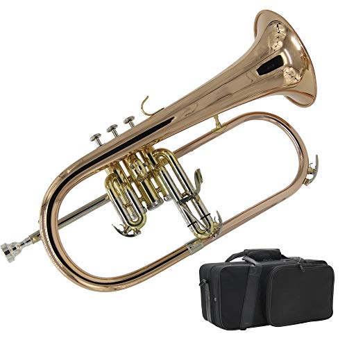Singer's day SDFH-4355