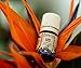 Amrita Aromatherapy - Clary Sage Essen. Oil 2 oz [Health and Beauty]