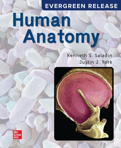 Loose Leaf for Saladin Human Anatomy: 2024 Release      99th Edition