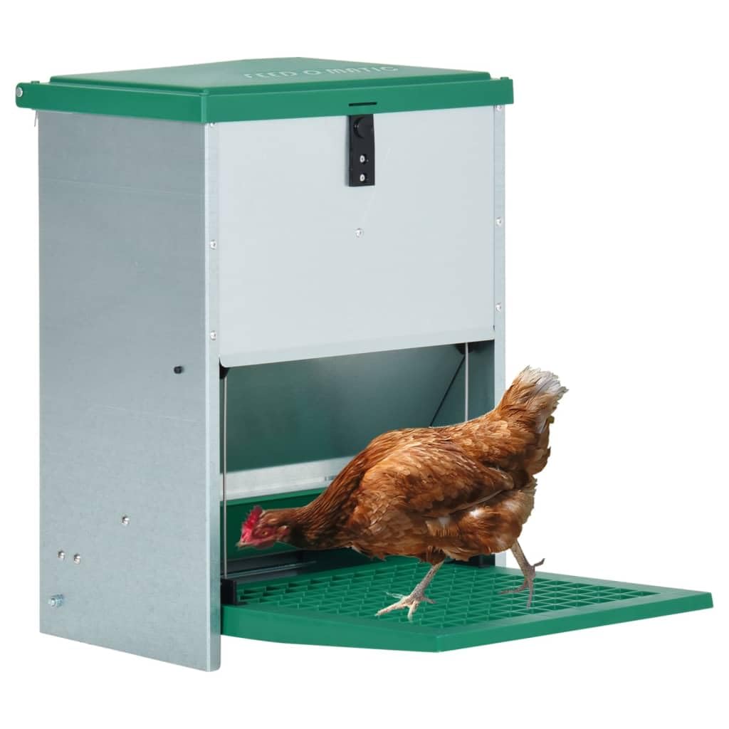 Mangiatoia automatica per pollame con pedale 12 kg, in lamiera zincata spessore 1 mm, griglia in rete antiparassitaria pollaio