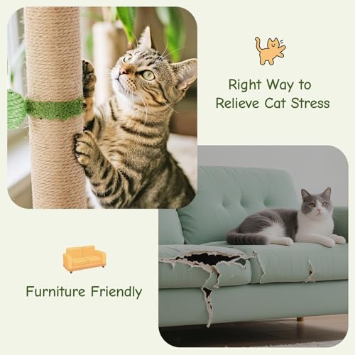 Image of Sweetcrispy 33 inch Cat Scratching Post for Indoor Cats, Cat Scratcher Scratching Posts with Dangling Ball for Adult, Palm Tree Cat Scratch Post for Kittens, Green