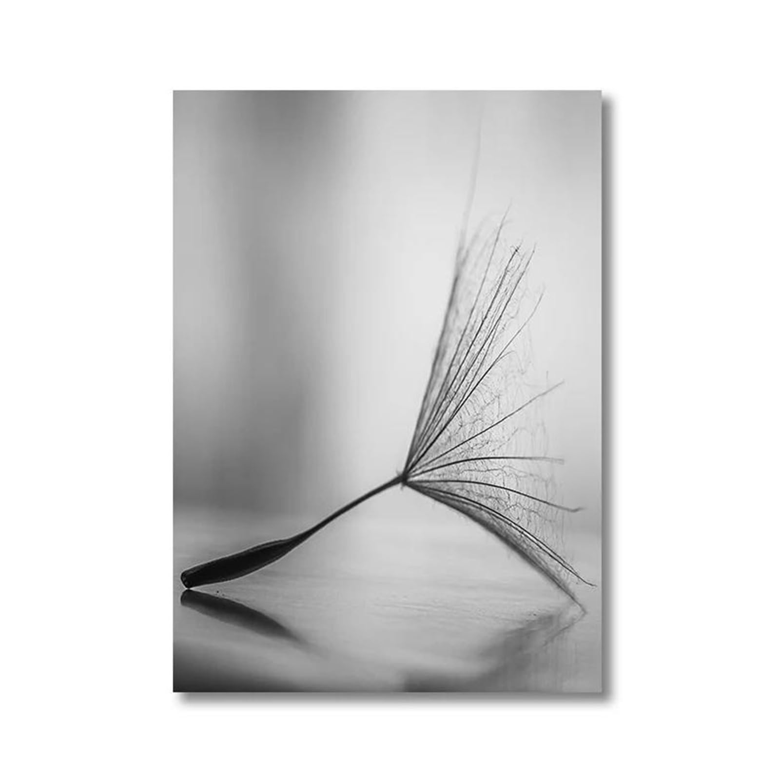 Tableau Déco Nature pour Cuisine Peinture Pissenlit Noir et Blanc Toile Art Mural