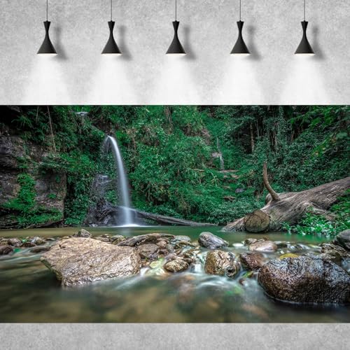 Image of Waterfall Aquarium Background Deep Forest Natural Landscape Terrarium Background Falls Green Jungle Plants Huge Rocks Fish Tank Background Rock Dead Wood Reptile Background Vinyl 36x20in