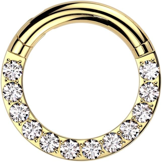 Pierced Owl 12GA-00GA Large Gauge CZ Crystal Lined F136 Implant Grade Titanium Hinged Segment Clicker Ring