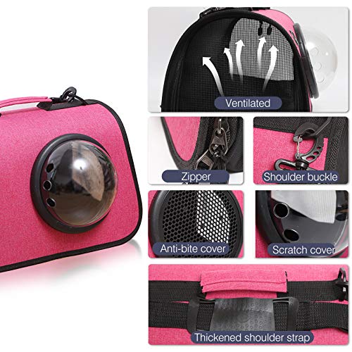 PETCUTE Trasportino Gatto Cane Piccola Borsa per