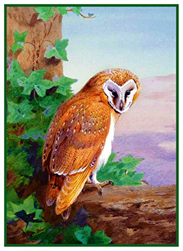 Orenco Originals Barn Owl by Archibald Thorburn Bird Counted Cross Stitch Pattern