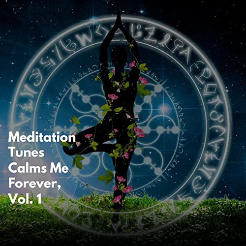 Meditation Tunes Calms Me Forever, Vol. 1 de VARIOUS ARTISTS no Amazon ...