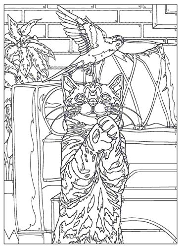 Creative Haven Cats Color by Number Coloring Book (Adult Coloring Books: Pets) - Image 4