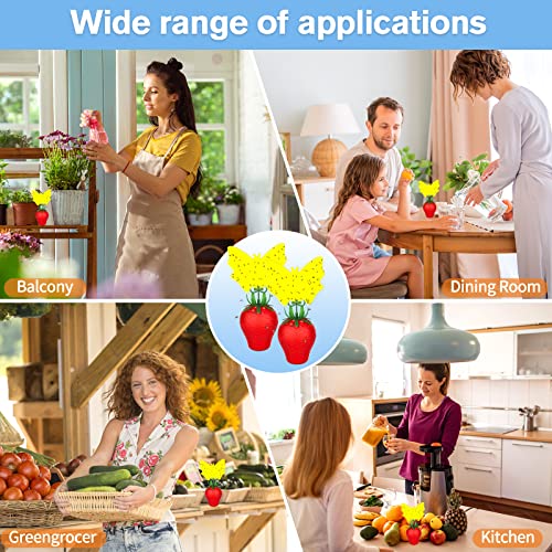 Fruit Fly Traps For Indoors,Effective Fruit Fly Traps With Yellow Sticky Pads,Ready-To-Use Indoor Fruit Fly Killer Gnats Trap Reusable Fly Catcher For Plant/House/Kitchen/Dining Areas (2 Pack) #TOP6
