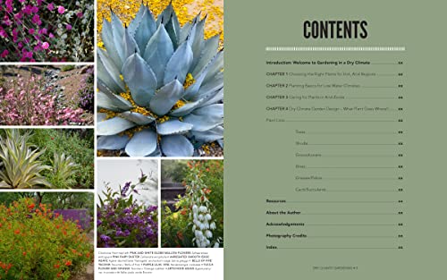 Dry Climate Gardening: Growing beautiful, sustainable gardens in low-water conditions Paperback – March 7, 2023 - Image 3