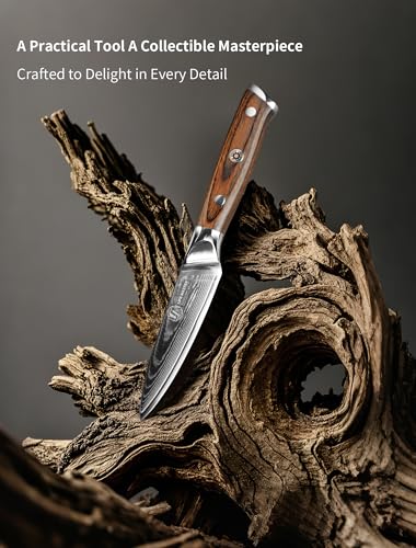 Damascus Paring Knife - Collectible 3.5 Inch Utility Knife with Pakkawood Handle, Japanese High Carbon Steel Blade, Small Fruit & Vegetable Knives for Kitchen, Outdoor, Camping, or Gift Use