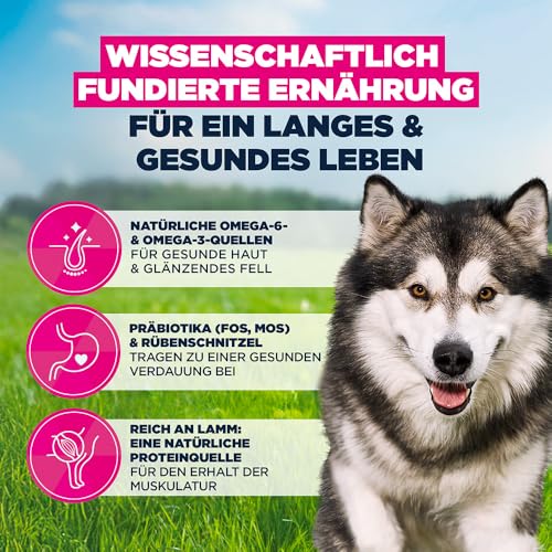Eukanuba Hundefutter Trocken mit Lachs und Gerste für große Rassen - Premium Trockenfutter für ausgewachsene Hunde, 12 kg