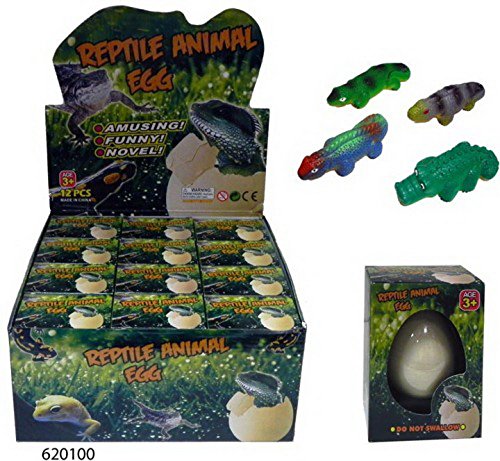 Van Manen - Huevo de reptil creciente 620100