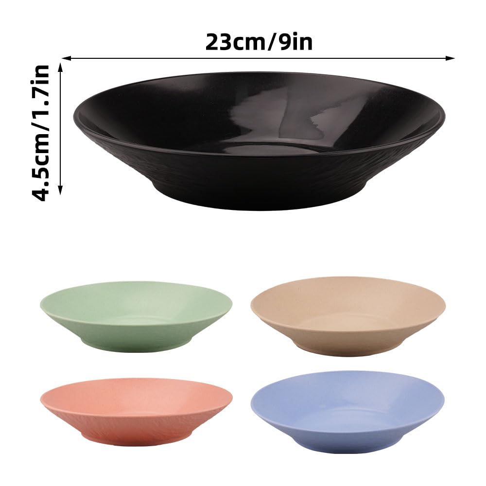 Set di 5 Piatti Colorati Plastica Riutilizzabile Piatti da Pasta Servizio 22,5x4 cm Set di Piatti per Insalata, Pasta, Bistecche