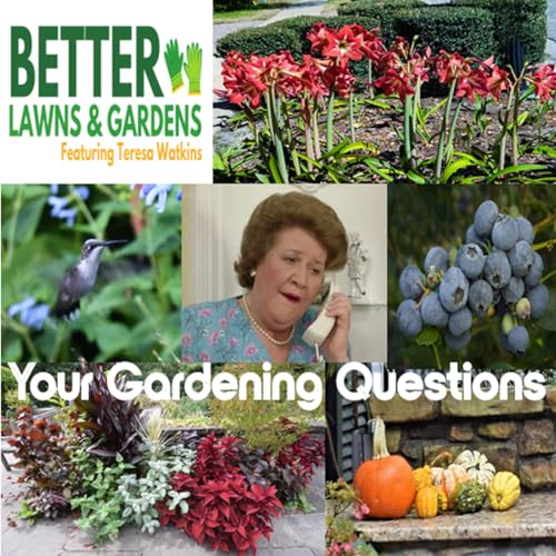 S2 Ep389: Better Lawns and Gardens - Hour 1 Your Fall Gardening Questions October 4, 2025