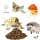UGF - Getrocknete Kleine Grille 500ml Eimer (80g), Grillen Insekten, Vogelfutter Wildvögel Ganzjährig, Schildkröten Futter, Igelfutter, Eidechsenfutter, Fischfutter
