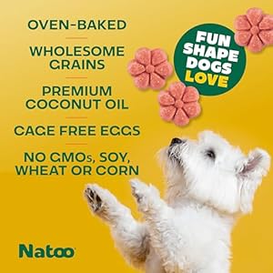 Natoo Dog Biscuits for Small Dogs  Puppies Crunchy Dog Treats Oats  Berry Healthy Natural Dog Biscuits Rich in Omega 6 Prebiotics  Fibers Antioxidants for Immunity 8 Oz  Cucciolini Doodles Natoo dog biscuits for small dogs  puppies crunchy dog treats oats  berry healthy natural dog biscuits rich in omega 6 prebiotics  fibers antioxidants for immunity 8 oz   cucciolini doodles