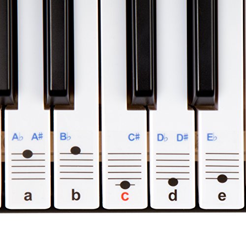 New and Improved! - Keysies Transparent Plastic Removable Piano and Keyboard Note Stickers - Plus Handy Placement Guide.